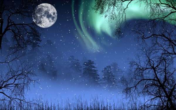 Звезды зима