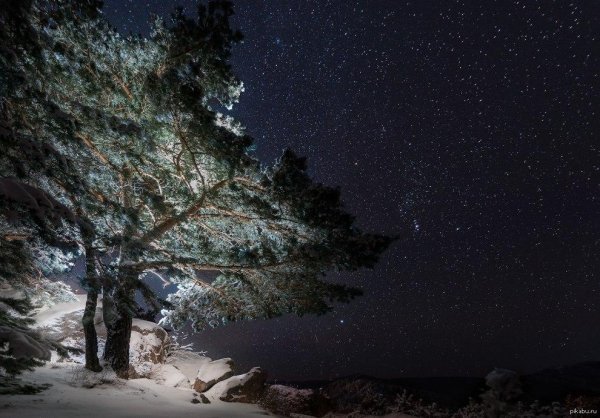 Звезды зима