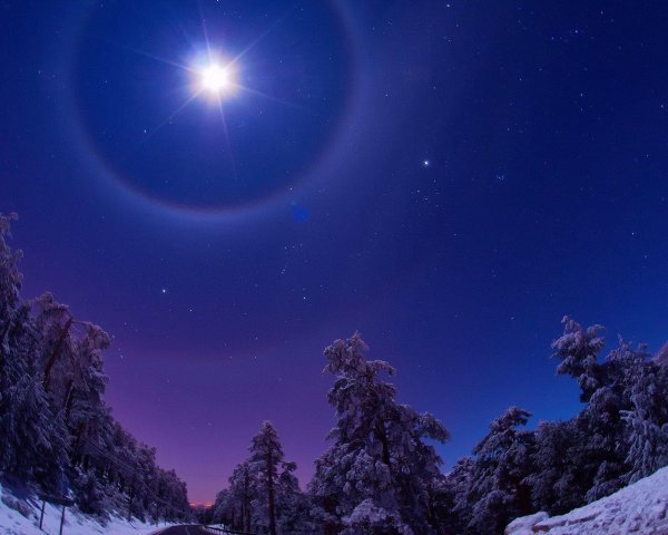 Звезды зима