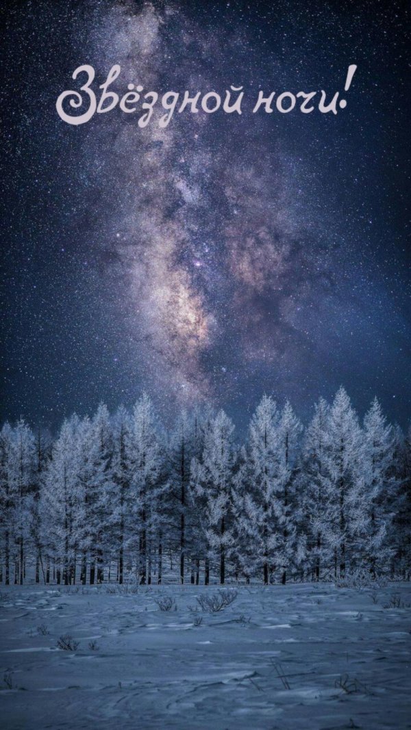 Звезды зима