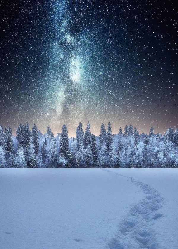 Звезды зима