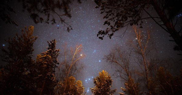 Звезды зима