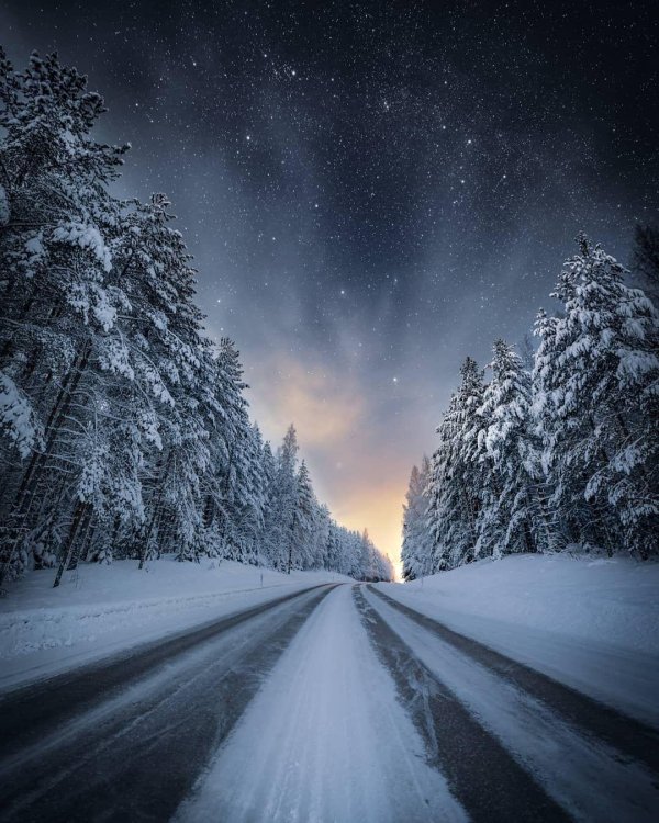 Звезды зима