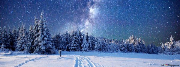 Звезды зима