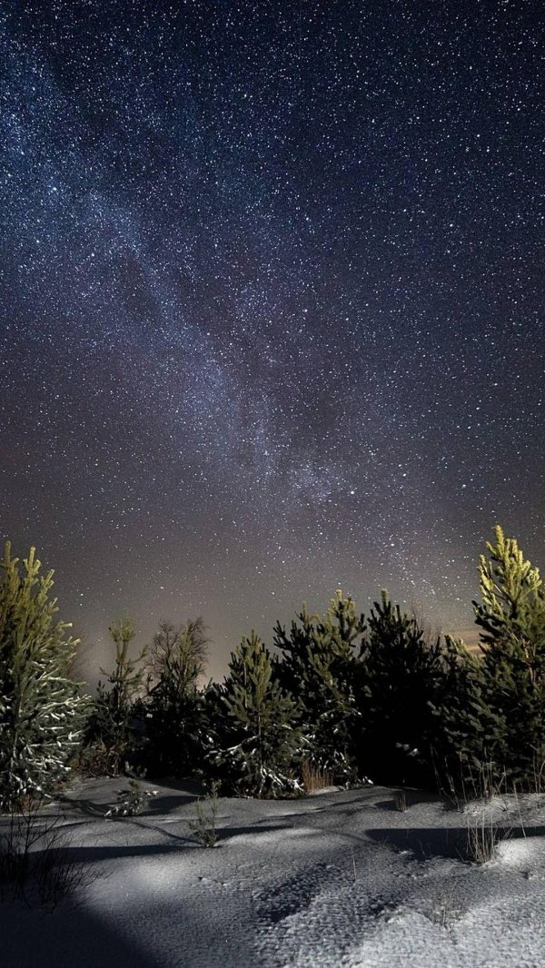 Звезды зима