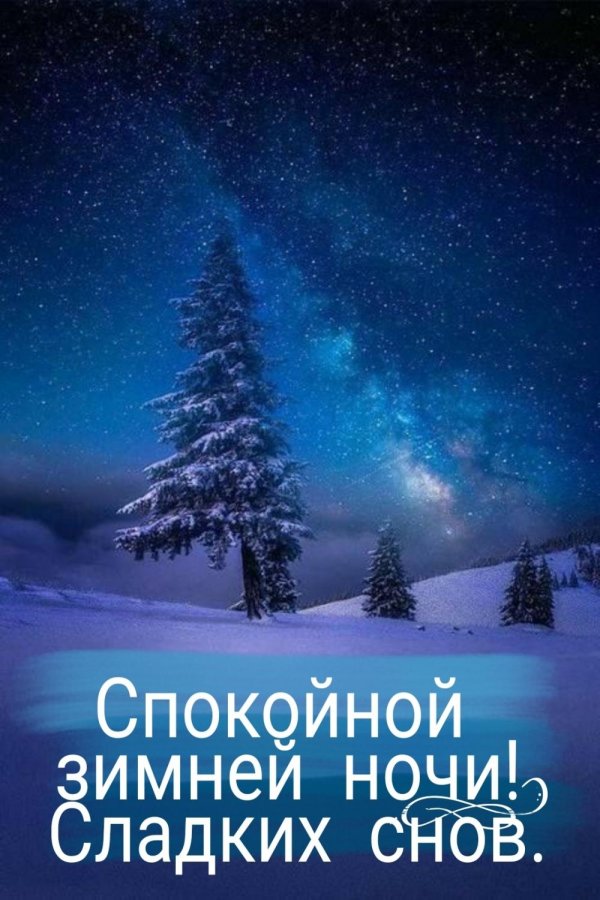 Звезды зима