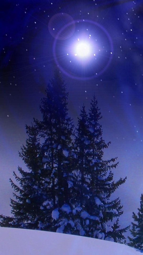 Звезды зима