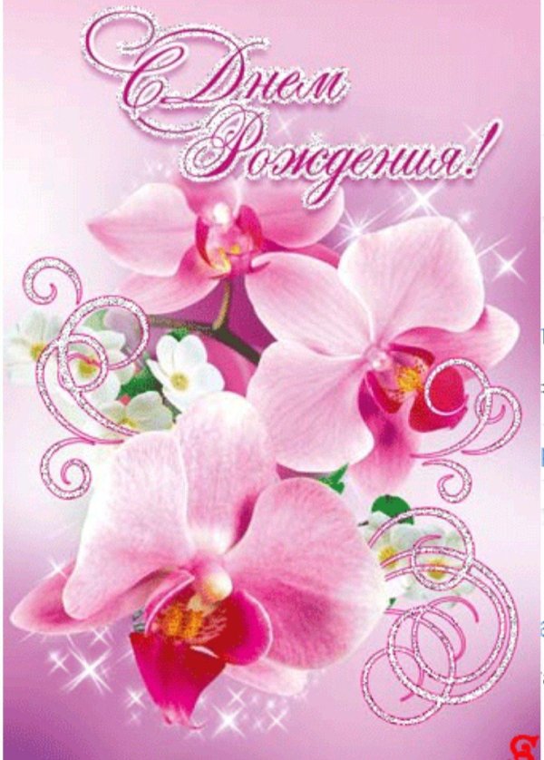с днем рождения орхидеи