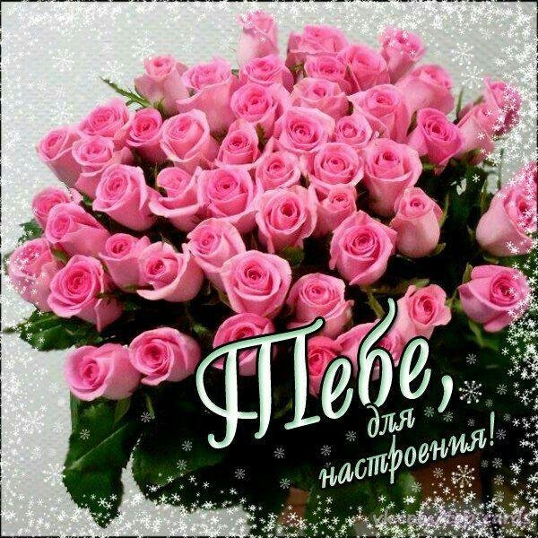 поздравительные открытки цветы