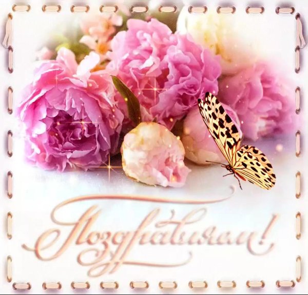 нежные пионы