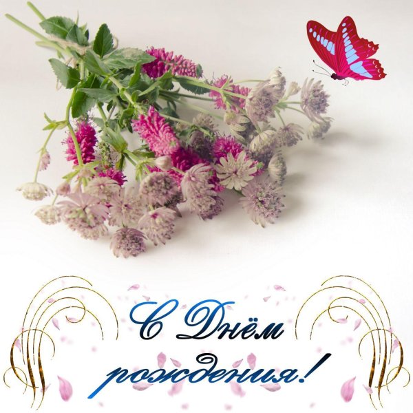 с днём рождения женщине полевые цветы и поздравление