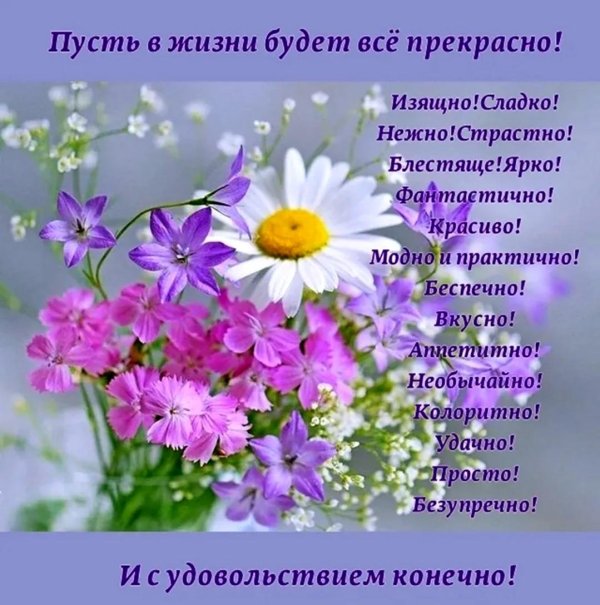 цветок полевой