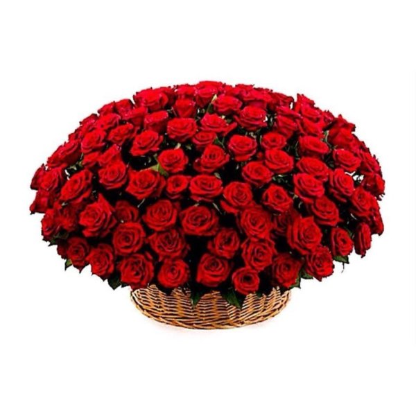 большая корзина роз