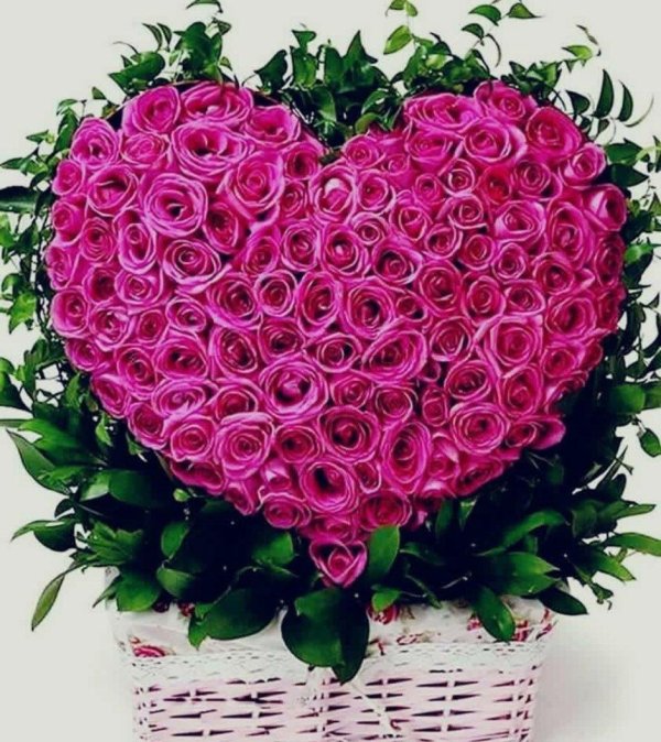 сердце розы