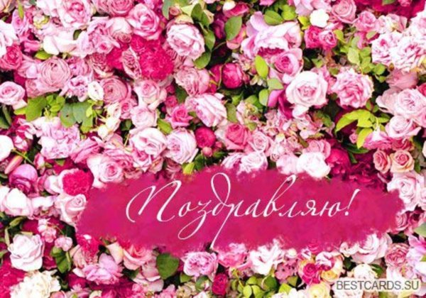 цветы поздравления