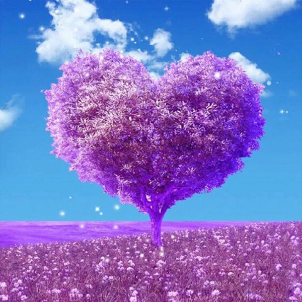 сиреневое сердце