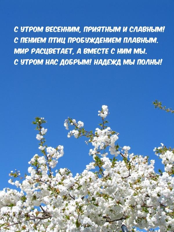 праздник весны