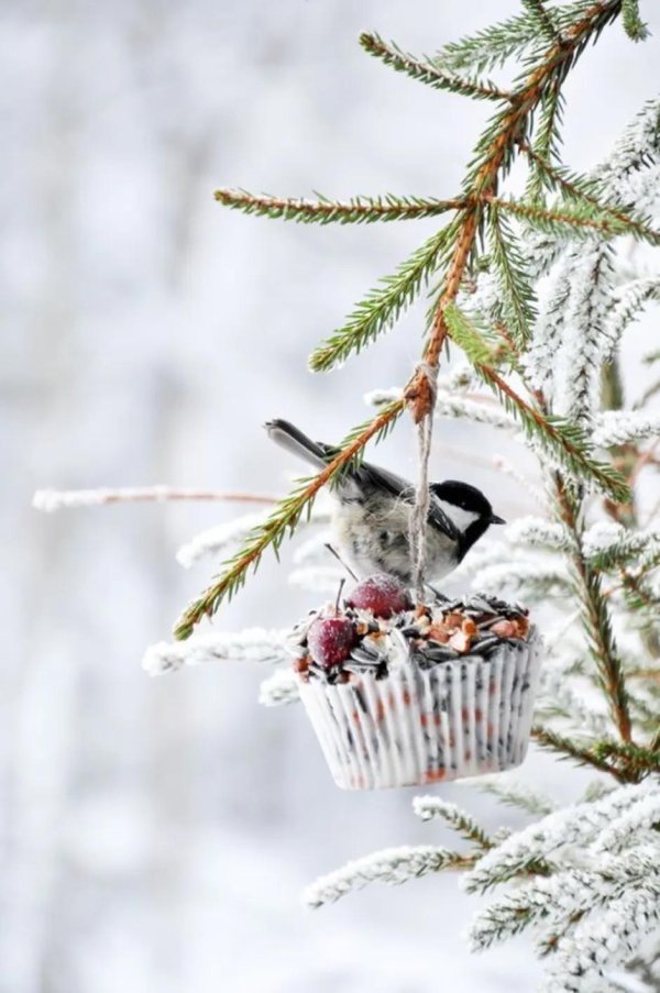 Зима маленькие