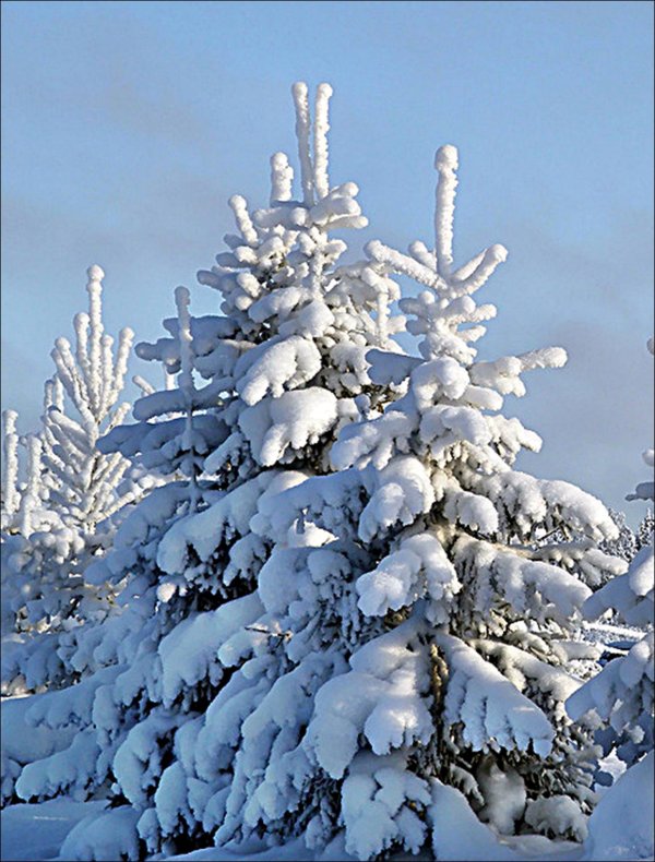 Зима маленькие