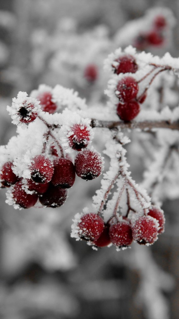 Зима маленькие