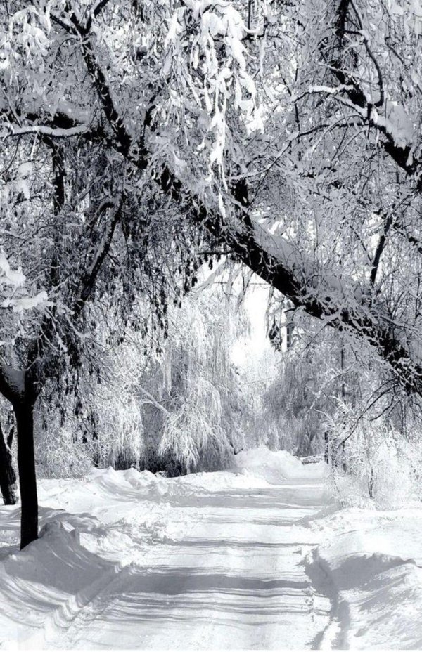 Зима маленькие