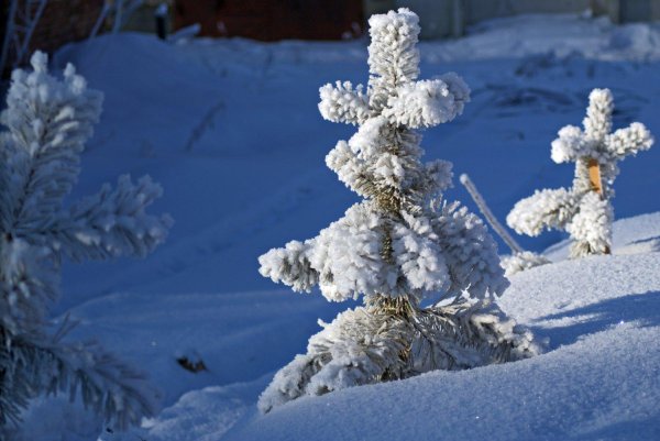 Зима маленькие