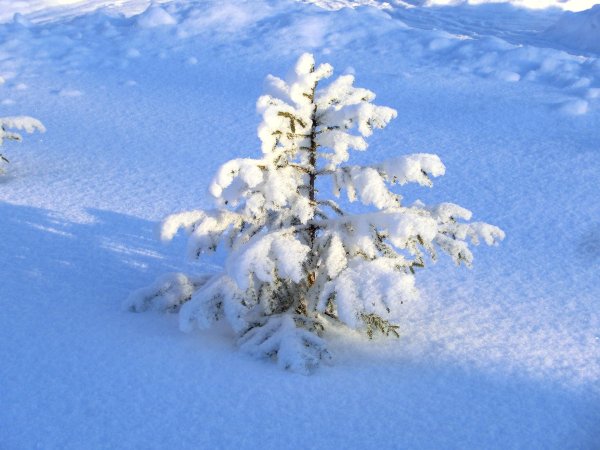 Зима маленькие