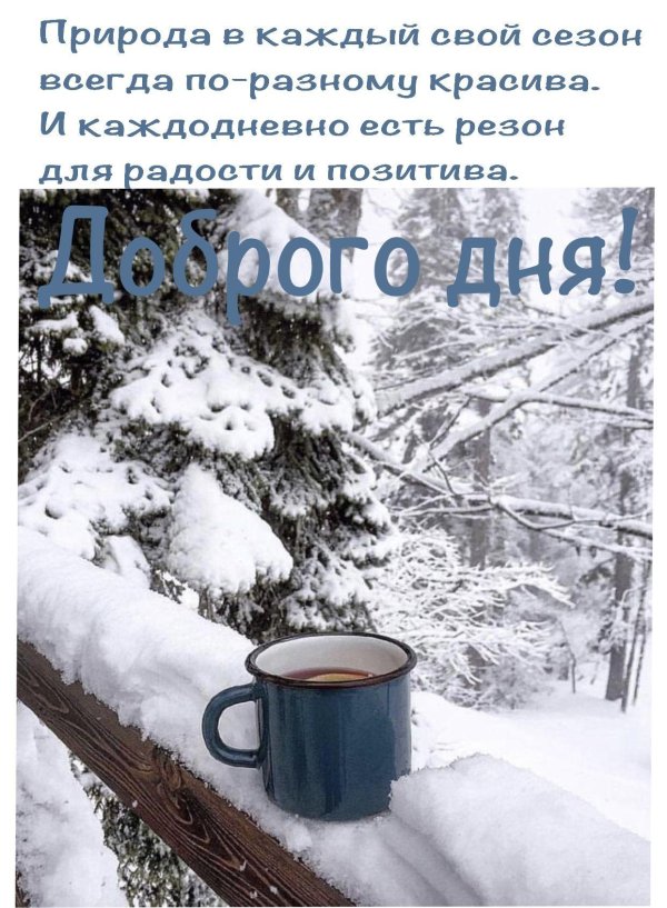 Зима цитаты