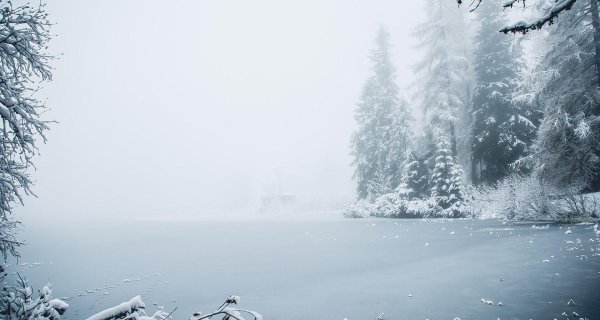 Зима цитаты