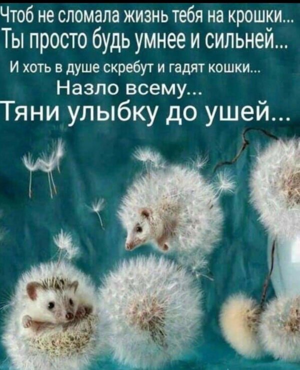 Зима цитаты