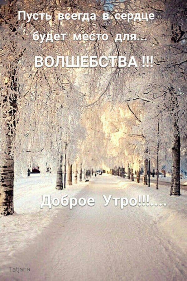 Зима цитаты