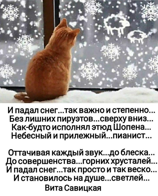 Зима цитаты