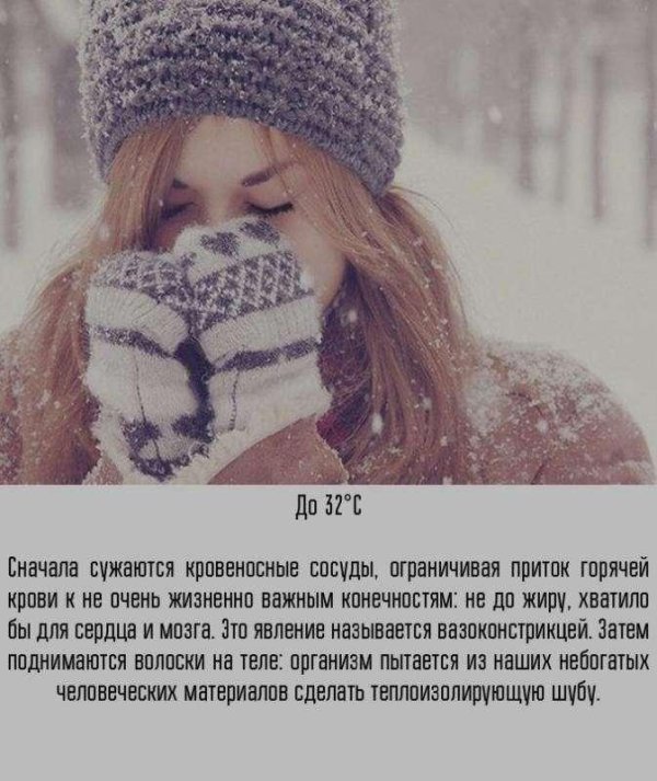 Зима цитаты