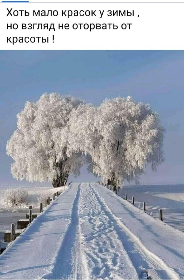 Зима цитаты