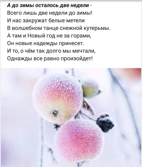 Зима цитаты