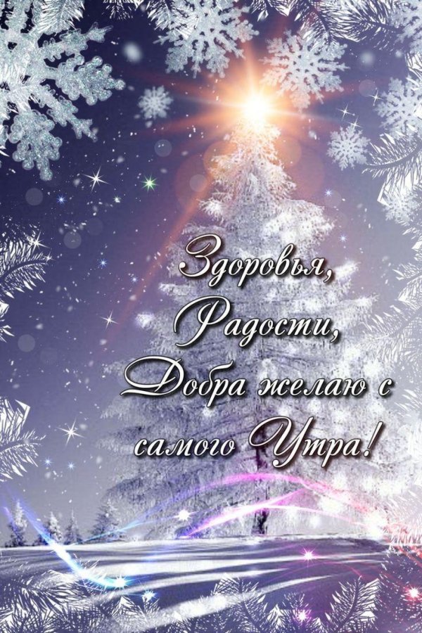 Зима цитаты