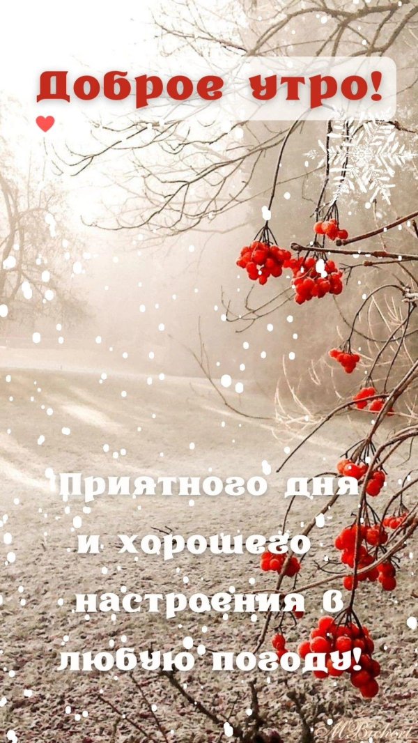 Зима цитаты