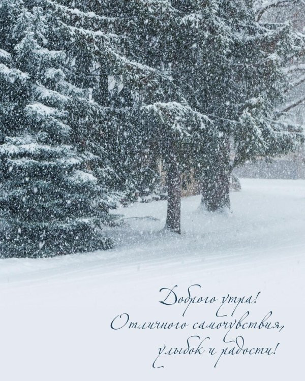 Зима цитаты