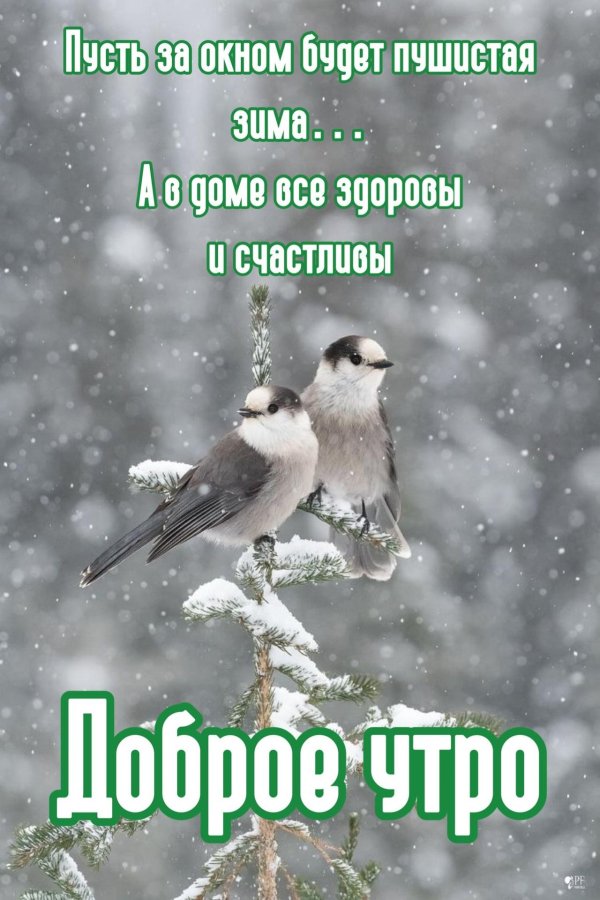 Зима цитаты