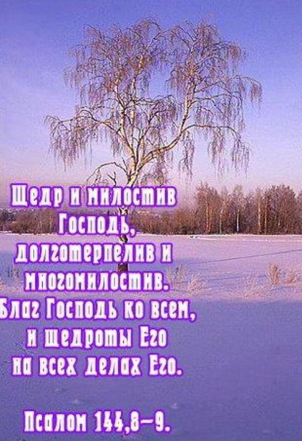 Зима цитаты