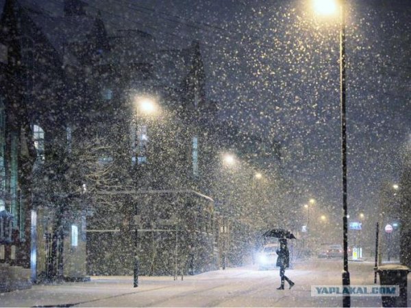 Зима цитаты