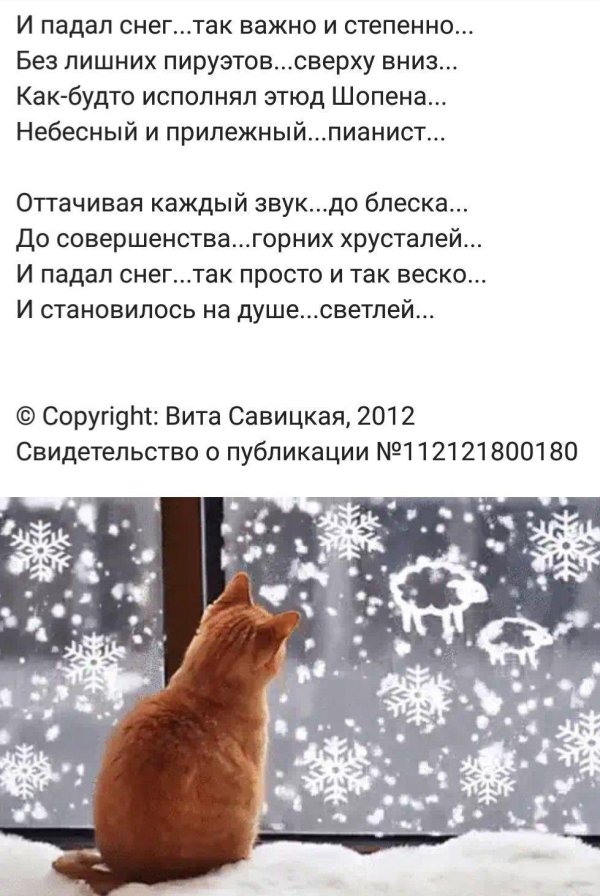 Зима цитаты