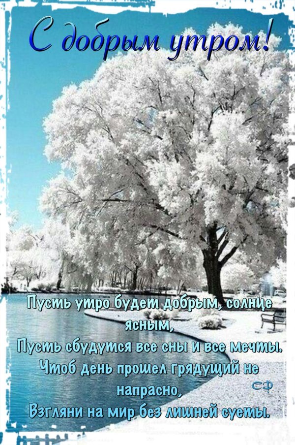 Зима цитаты