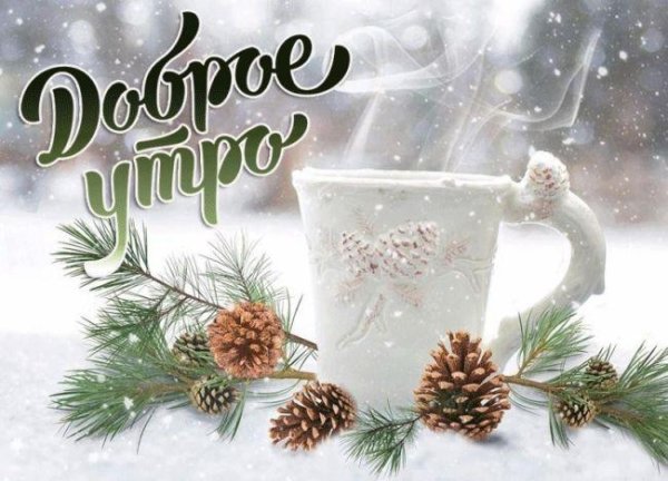 Зима цитаты