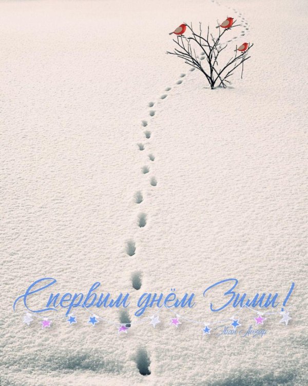 Зима цитаты