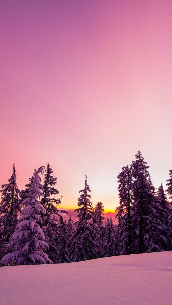 Зима восход