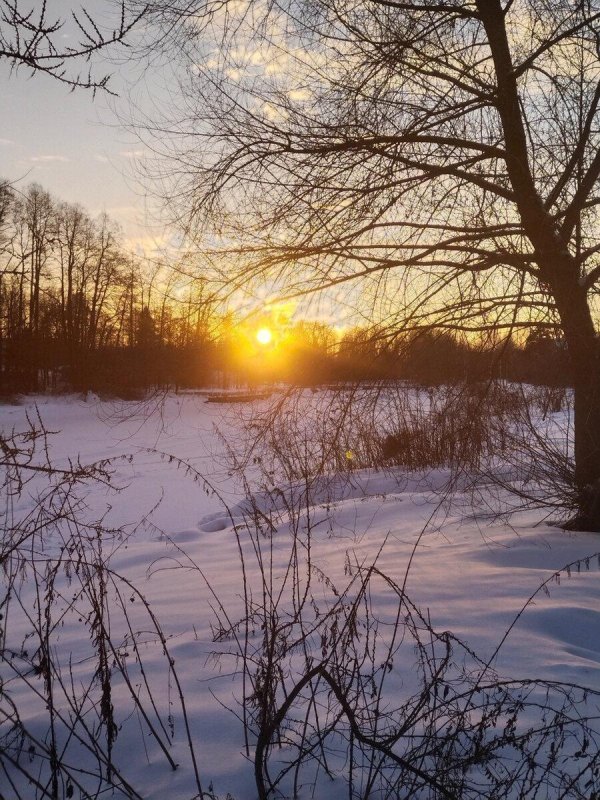 Зима восход