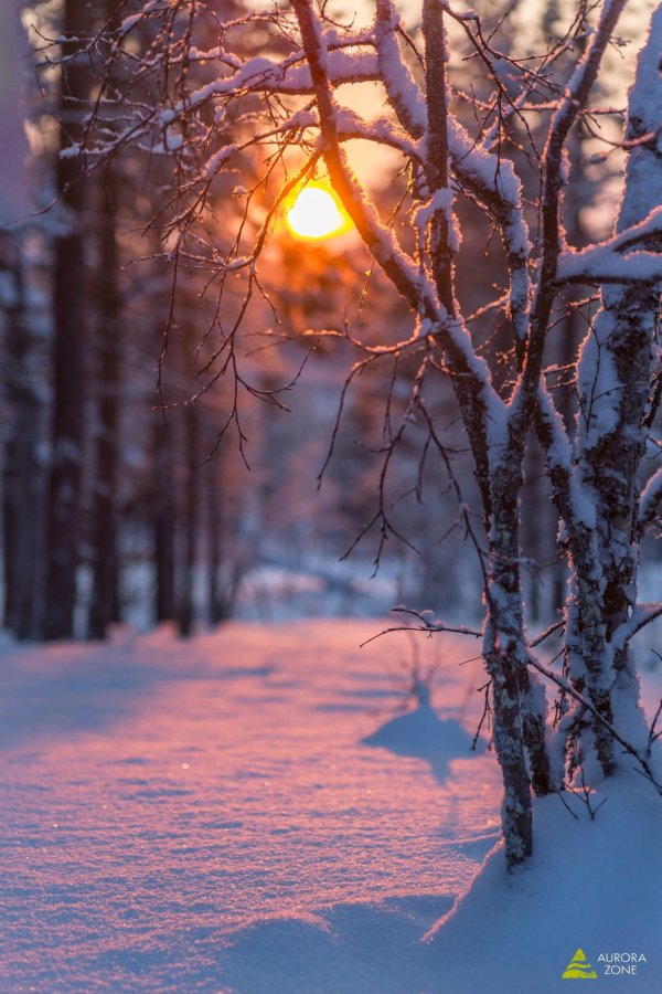 Зима восход