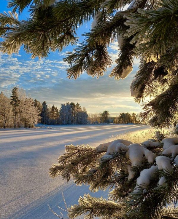 Теплая зима