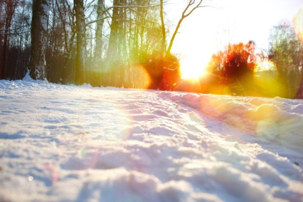 Теплая зима